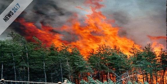 Υπό έλεγχο η φωτιά στην Καστοριά