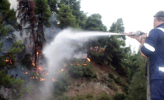 Υπό μερικό έλεγχο η πυρκαγιά στην Αλεξανδρούπολη