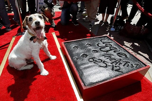 Τα πατουσάκια του Αγκι στο χολιγουντιανό Walk of Fame