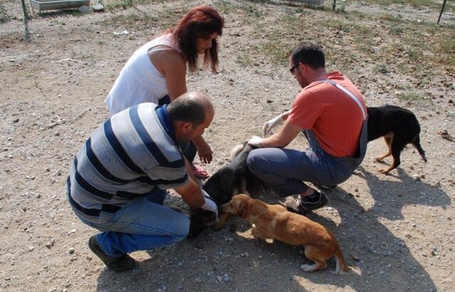 Καστοριά : Μαζικοί εμβολιασμοί κατά της λύσσας