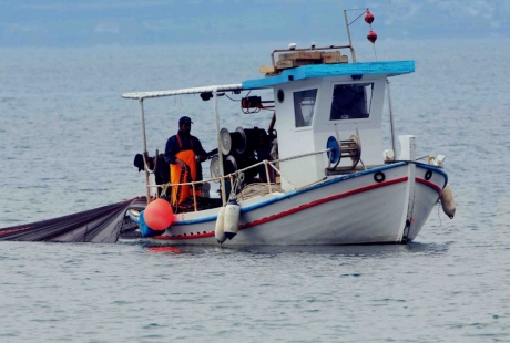 Κρήτη: Κατάσχεσαν 420 κιλά παράνομη ψαριά από αλιευτικό σκάφος