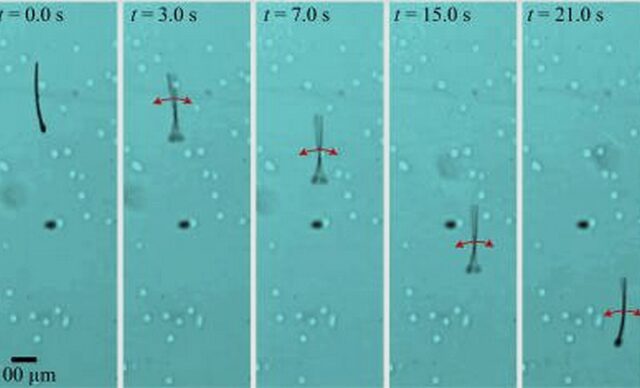 MagnetoSperm: Το πρώτο ρομπότ-σπερματοζωάριο που ελέγχεται με μαγνητάκια ψυγείου