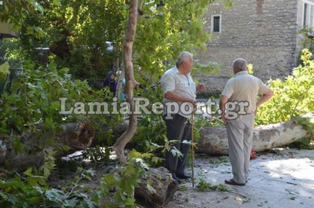 Θρήνος στη Λαμία για τον θάνατο 9χρονου από πτώση δέντρου. Συνελήφθη ο υπεύθυνος του δήμου