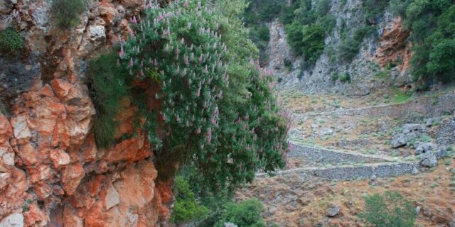 Νεκρός βρέθηκε και ο Γάλλος τουρίστας που αγνοείτο στα Σφακιά