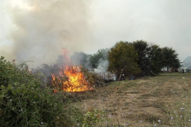 Συνελήφθη αγρότης στη Λάρισα για εμπρησμό από πρόθεση