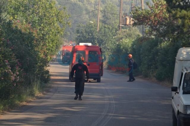 Σε ύφεση η φωτιά στην Αρχαία Μεσσηνία – Σε επιφυλακή η Πυροσβεστική