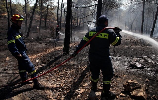 Έβαλε 10 πυρκαγιές σε δάση της Άνδρου