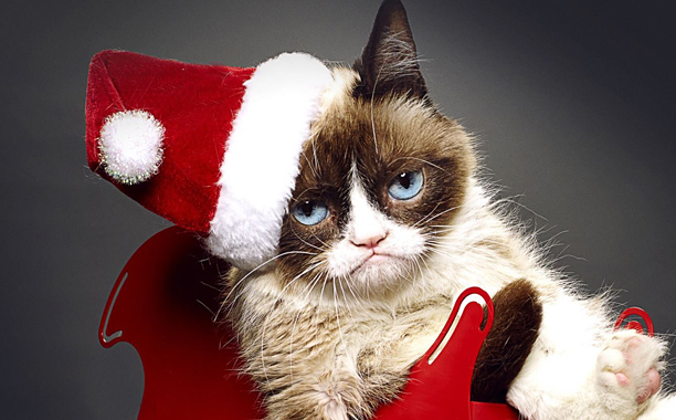 H Grumpy Cat έχει τη δική της… χειρότερα δεν γίνεται ταινία!