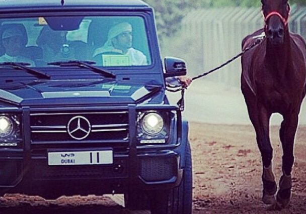 Σείχης από τα Αραβικά Εμιράτα γυμνάζει τα άλογά του με μια Mercedes G63 AMG