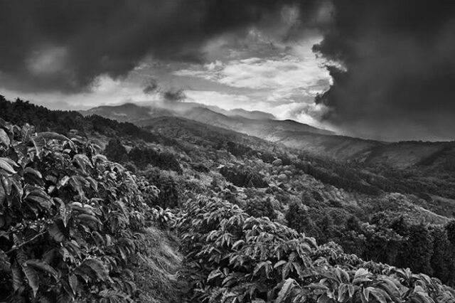 Sebastião Salgado: ‘SCENT OF A DREAM. A journey in the world of coffee’