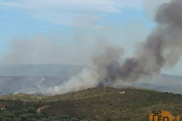 Χαλκιδική: Σε ύφεση η φωτιά στην Ουρανούπολη