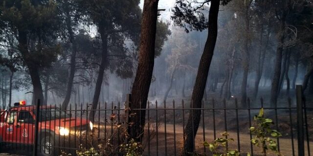 Περιορίστηκε η φωτιά, που ξέσπασε σε χαράδρα στη Φυλή Αττικής