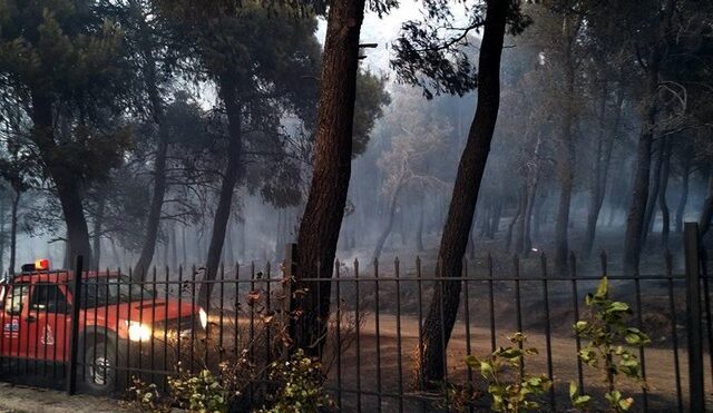 Περιορίστηκε η φωτιά, που ξέσπασε σε χαράδρα στη Φυλή Αττικής