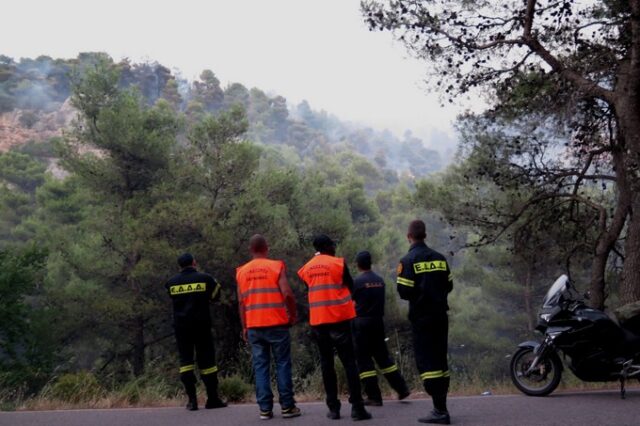 Πυρκαγιά στην κοινότητα Γκρέκα Αιγιαλείας