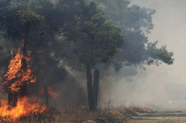 Ηλεία: Μεγάλη φωτιά στο δάσος της Στροφυλιάς