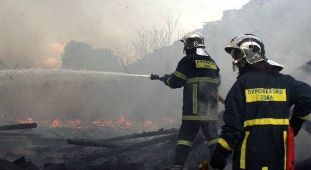 Σε ύφεση η πυρκαγιά στην Αφράτι της Χαλκίδας