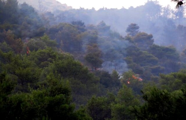 Σε εξέλιξη βρίσκεται φωτιά στην Φυλή