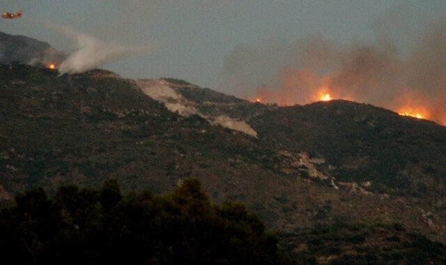 Φωτιά στην περιοχή Γιαννισκάρι της δυτικής Αχαΐας