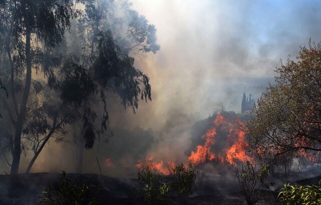 Σε εξέλιξη μεγάλη φωτιά σε περιοχή της Σητείας Λασιθίου