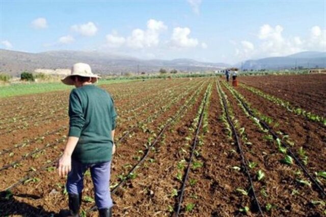 Αποστόλου: Θεσπίζεται όριο ακατάσχετου των αγροτικών επιδοτήσεων