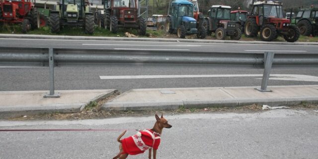 Οι αγρότες ανοίγουν τα Τέμπη σε ένδειξη καλής θέλησης