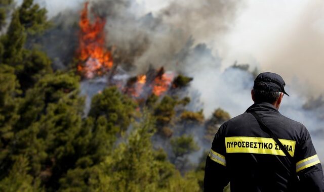 Παραμένουν διασπάρτες εστίες στα Δερβενοχώρια