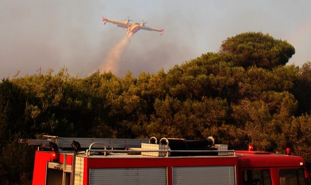 Υπό μερικό έλεγχο η φωτιά στις Ερυθρές Αττικής. Πυρκαγιά και στην Κρήτη