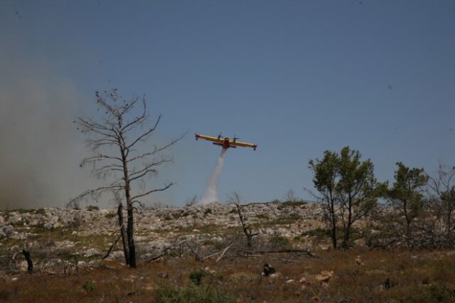 Σε ύφεση η πυρκαγιά στη Κερατέα – Έφτασαν στις αυλές οι φλόγες