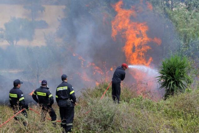 Λέρος: Υπό έλεγχο η πυρκαγιά στην περιοχή Παρθένι