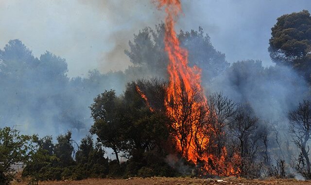 Πάρνωνας: Στάχτη 150 στρέμματα δάσους