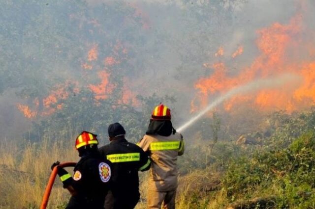 Κρήτη: Μάχη με τις φλόγες δίνουν πυροσβέστες στις Βασιλειές