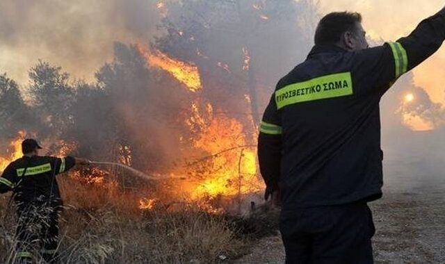 Ανεξέλεγκτη η φωτιά στη Θάσο. Τραυματίστηκε πυροσβέστης