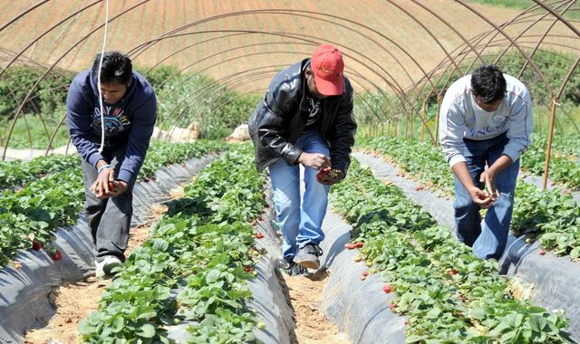 Έρευνα για την αθώωση της Μανωλάδας προανήγγειλε ο Κοντονής