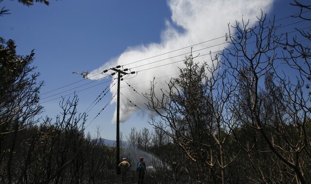 Φωτιά στον Έβρο κατά τη μεταφορά δεμάτων με άχυρο