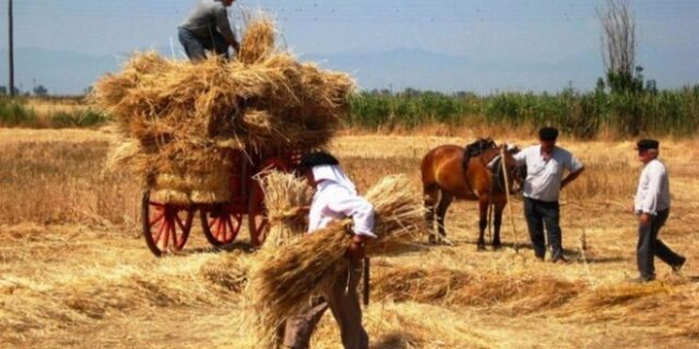 Στην Καρύταινα, φτιάχνουν ψωμί όπως παλιά