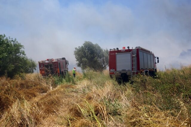 Nέα φωτιά στο Εξωχώρι Μεσσηνίας σε εξαιρετικά δύσβατο σημείο