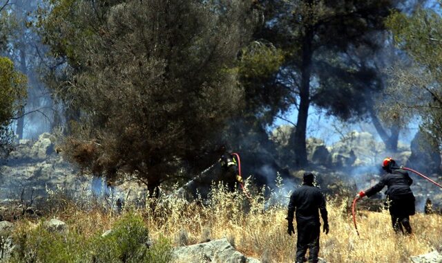 Νέα φωτιά στη Νέα Σάντα Ροδόπης. Καλύτερη η εικόνα στην Ανατ. Μάνη