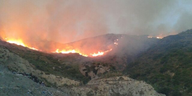 Προφυλακιστέος ο πυρομανής που ξεκίνησε 16 φωτιές στην Αττική