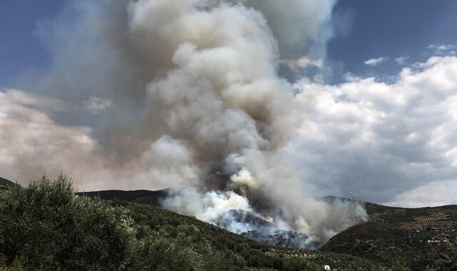 Σε ύφεση οι φωτιές σε Ηλεία και Ζάκυνθο