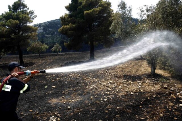 Μαίνεται η φωτιά στην Πάρνηθα. Δεν κινδυνεύουν σπίτια