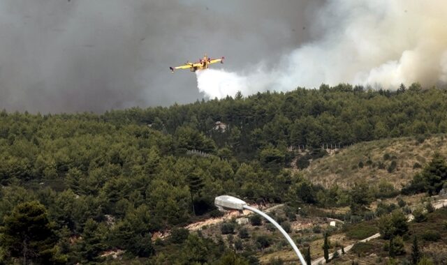 Έκτακτα μέτρα Τροχαίας στην ανατολική Αττική. Πού απαγορεύεται η κυκλοφορία λόγω φωτιάς