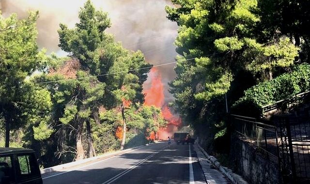 Υποψίες για σχέδιο εμπρησμών σε όλη την χώρα εν όψει του τριημέρου