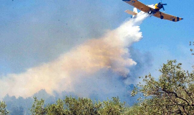 Κεφαλλονιά: Ολονύκτια μάχη σε δύο πύρινα μέτωπα