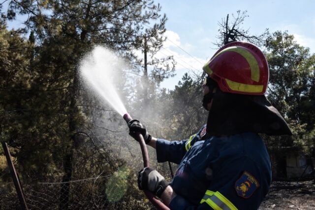 Συνελήφθη 43χρονος για εμπρησμό στην Ιεράπετρα. ‘Κάπνιζε’ μέλισσες