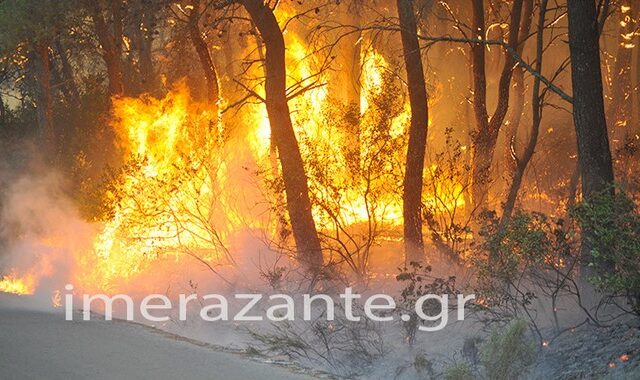 Ελικόπτερο της Πυροσβεστικής εντόπισε εμπρηστές στη Ζάκυνθο