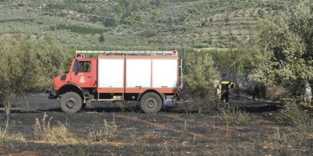 Τριάντα οκτώ αγροτοδασικές πυρκαγιές το τελευταίο 24ωρο σε όλη την Ελλάδα