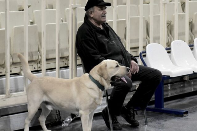 Μην ταΐζετε ωμό κρέας τα κατοικίδια