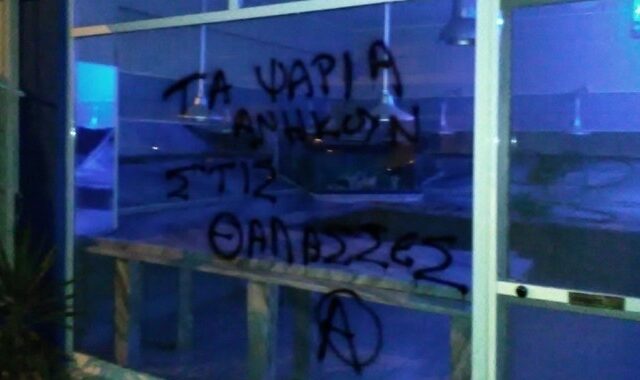 Ιωάννινα: Επιθέσεις αντισπισιστών σε κρεοπωλεία και ιχθυοπωλείο