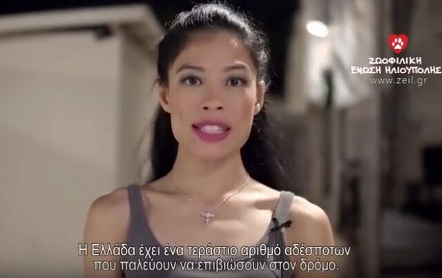 Η Vanessa-Mae κάνει εκστρατεία για τα αδέσποτα της Ελλάδας