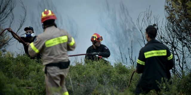 Πλήθος αρχαίων αντικειμένων βρέθηκε σε σακούλες απορριμμάτων στην φωτιά στις Λιβανάτες